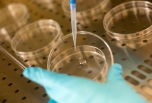 lab3